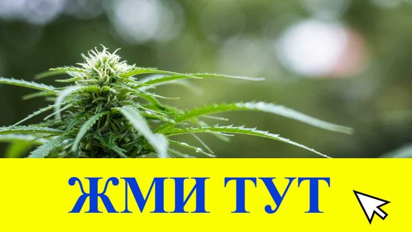 Купить наркотики в Минусинске